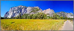 Flowers and peaks incentral meadow panorama.