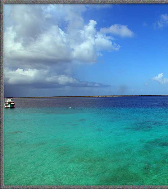 Left side of Bonaire at Habitat