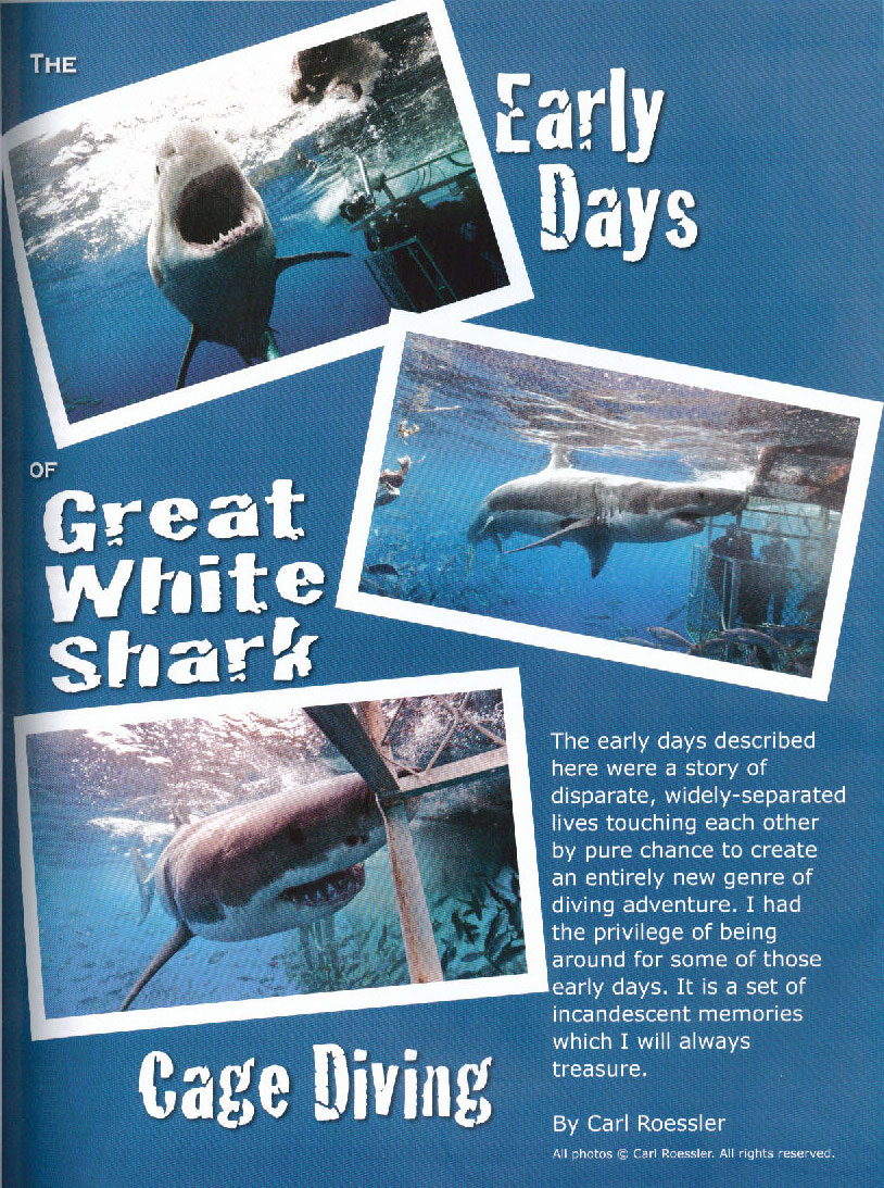JofDH Shark Story First Page