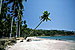 Pictures of Andaaman Islands by Carl Roessler!