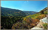 Aspens For Miles