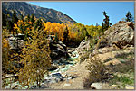 River Rhro Aspens Near In dependence Pass