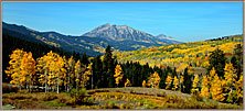 Aspen Grove and Mountain