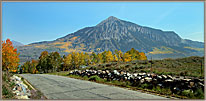 Crested Butte