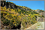 Hillside Sosuth of Ouray