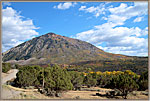 Aspens On Mountain Near Needle Rock