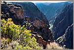 Kneeling Camel And Distant Valley