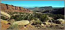 Winding Road Called Dogs Tooth