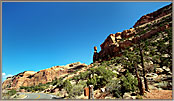 Looking up At Balanced Rock