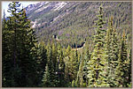 8 Wide View Of Tunnel Entrances