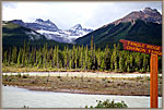 1TangleRidgeInColumbiaIcefields