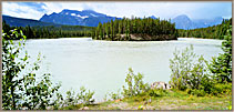 7AthabascaRiverFlowsAroundIsland