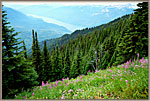 13 Slocan From Idaho Peak