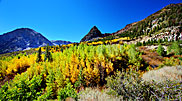 5 Color In Tioga Pass