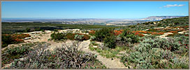 View Toward Blue Mountain