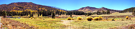 1 Meadow With Fire Ravaged Hills