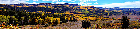 4 Fall Foliage South 0f Chama