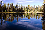 10 Pond In Forest Near Mount McLoughlin