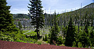 1 Tunnel Under Road At Bend Whitewater Park.jpg