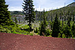 Wildfire Scene Near Highway 1.jpg