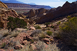 Lower Muley Twist Is For Serious Hikers