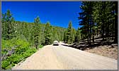 Road through Dixie National Forest.