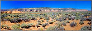 Wagon tracks and bench panorama.