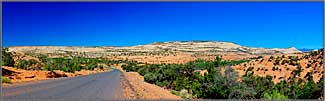 Looking back along Burr Trail.