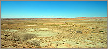 Desert and Oil Rigs