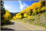 2 Aspens And Contrails