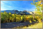 Aspen Groves Near Summit