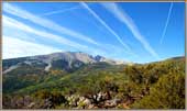 Fall Colors Wheeler Peak and Contrails.