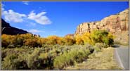 Foliage and formation at Needles Valley