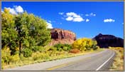 Foliage in Needles Valley.