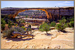 Owachomo Bridge from trail