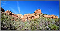 Boynton Canyon up from Trail.