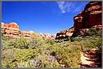 Boynton Canyon a Long Walk.