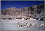 Queen Hapshetsut's Tomb.